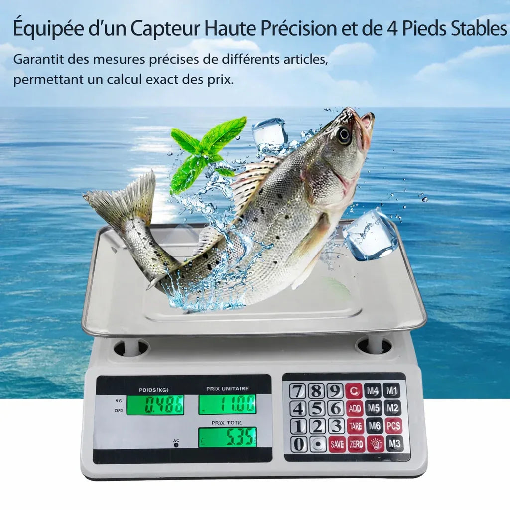 balance_de_cuisine_professionnelle_double_affichage_marketscalepro