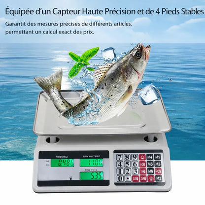 balance_de_cuisine_professionnelle_double_affichage_marketscalepro